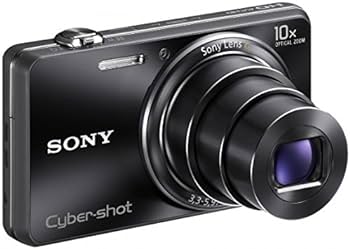 Amazon.com : Sony Cybershot WX100 18.2 Megapixel 10xzoom Black