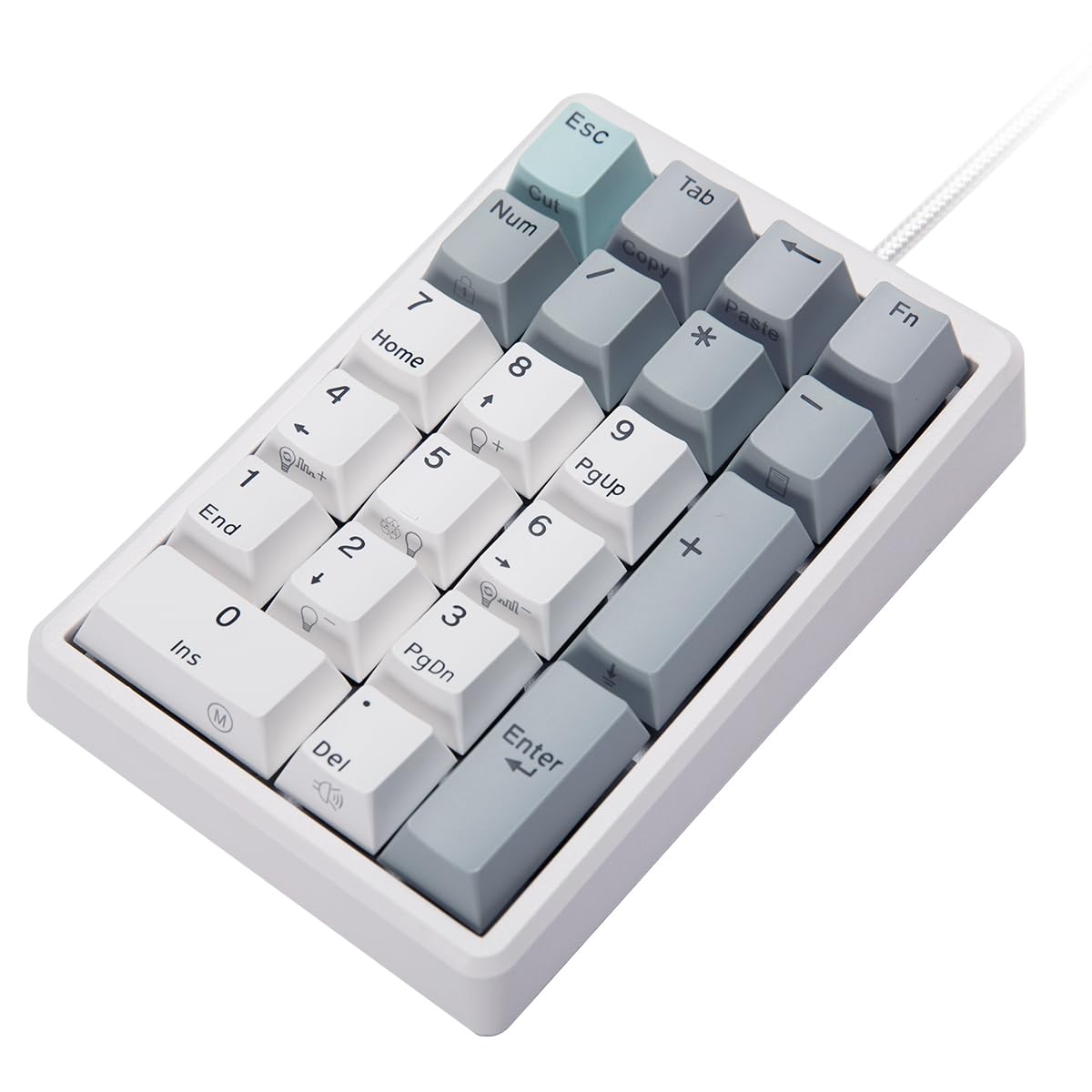 Amazon | NiZ テンキーボード 静電容量無接点 有線 RGBバックライト