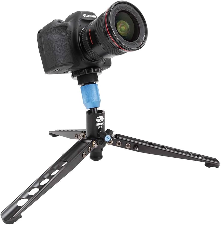 51ZMDOZMmKL._AC_UF894,