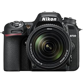 Amazon.co.jp: デジタル一眼レフ - デジタルカメラ: 家電＆カメラ