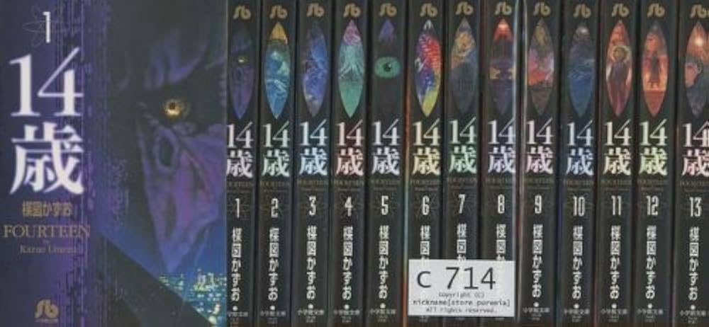 14歳 全13巻完結(文庫版)(小学館文庫) [マーケットプレイス コミック