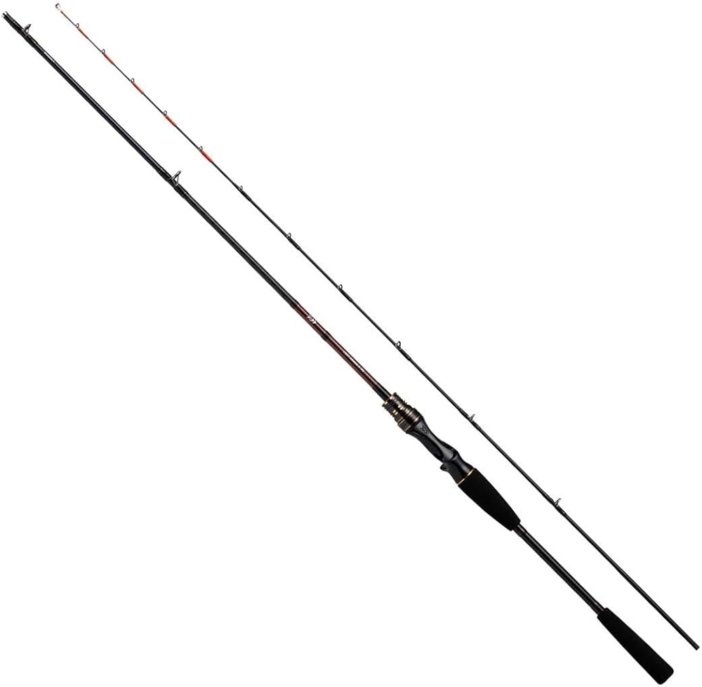 Amazon | ダイワ(DAIWA) 20 ライトアマダイX 190・R | ダイワ(DAIWA