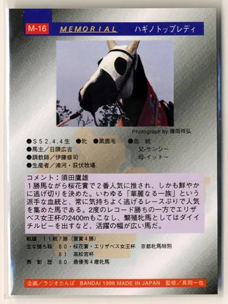 Amazon.co.jp: ハギノトップレディ M16 メモリアルカード サラブレッド