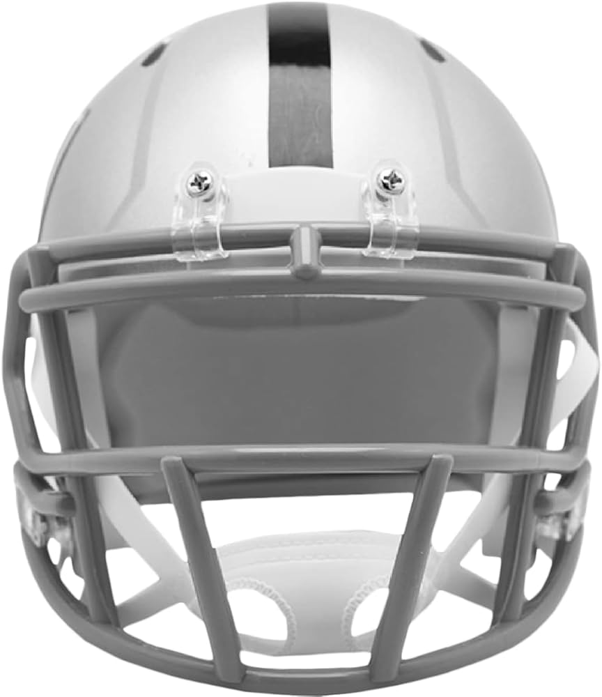 Amazon.co.jp: Riddell Mini フットボール ヘルメット - NFL Speed Las