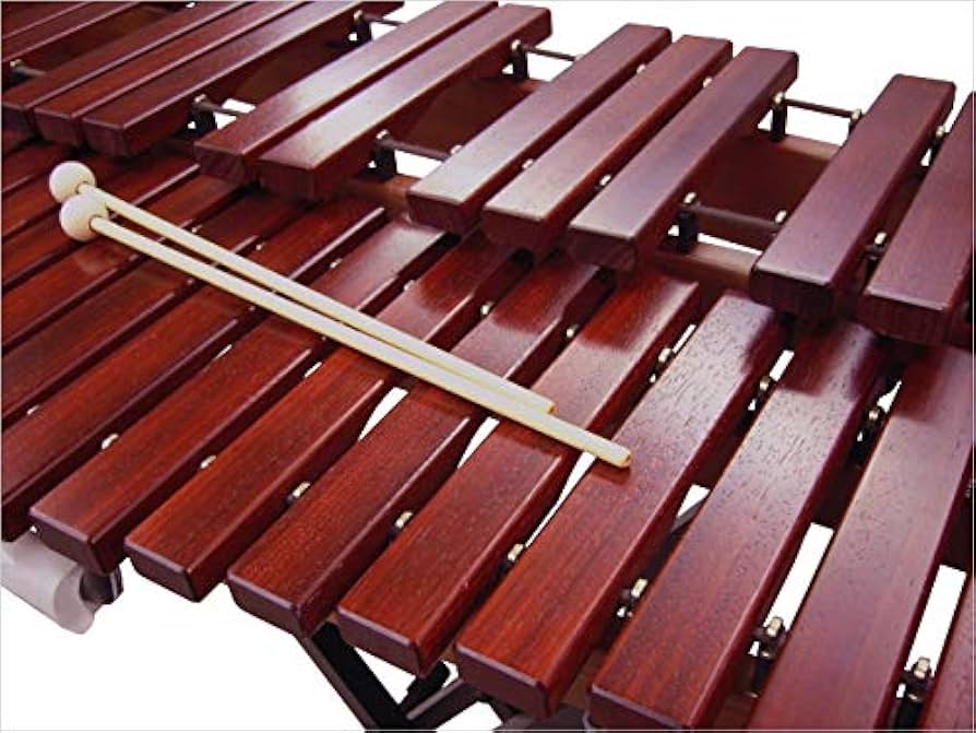 Amazon | コオロギ 練習用 マリンバ RM40 専用スタンドセット 3・1/3