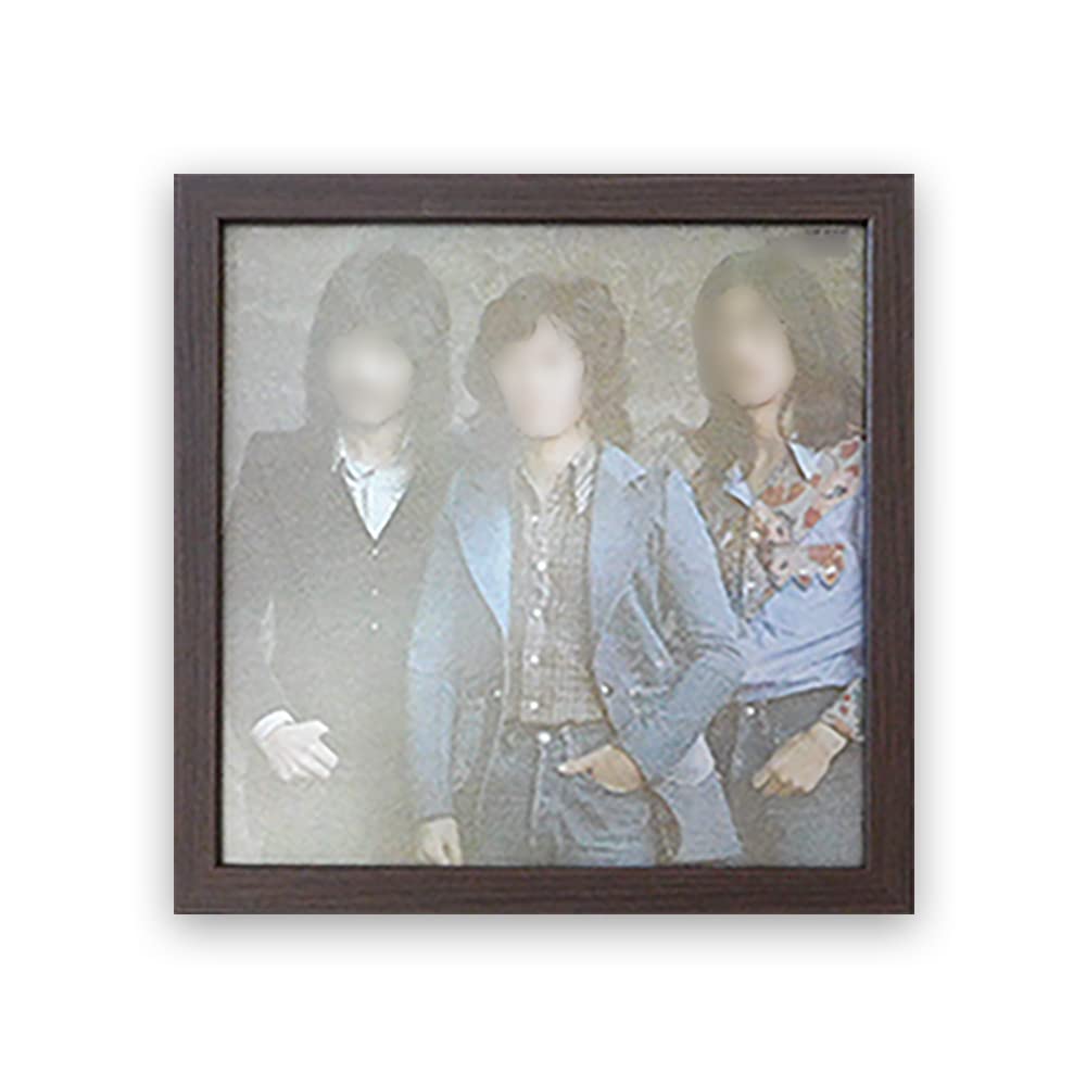 Amazon.co.jp: 岐阜の木工屋 レコード額 レコードジャケットを飾る額縁