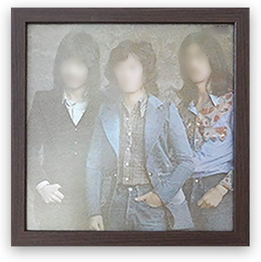 Amazon.co.jp: 岐阜の木工屋 レコード額 レコードジャケットを飾る額縁