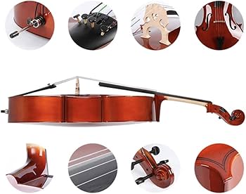 Amazon | KALELAISU チェロ メープル材 艶ありチェロ 1/4 5-7歳 子供用