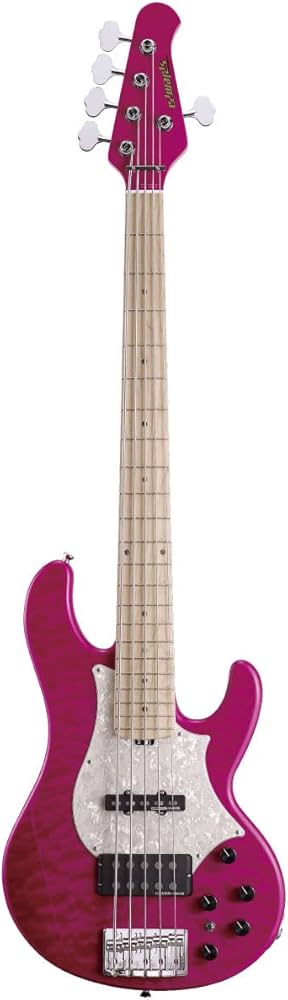 Amazon.co.jp: EDWARDS E-Bardic STPI 5 String Electric Bass