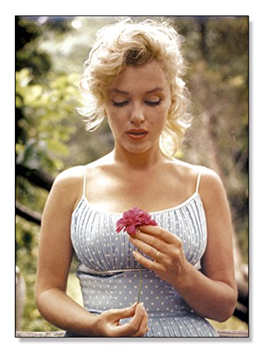 Amazon.co.jp: ポスター サム ショー マリリン モンロー フラワー