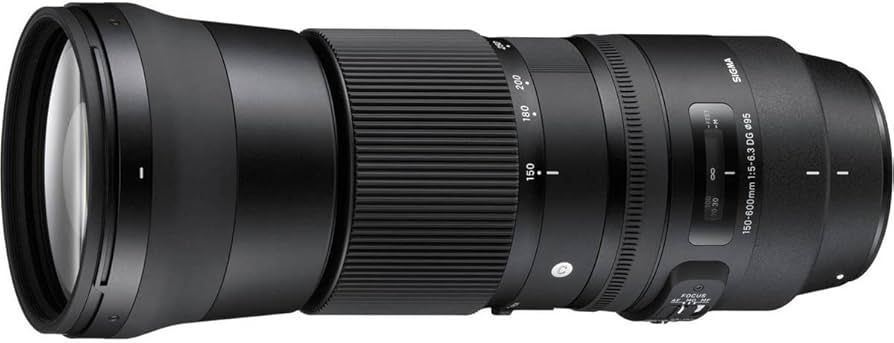 Amazon.co.jp: SIGMA 150-600mm F5-6.3 DG OS HSM | Contemporary C015