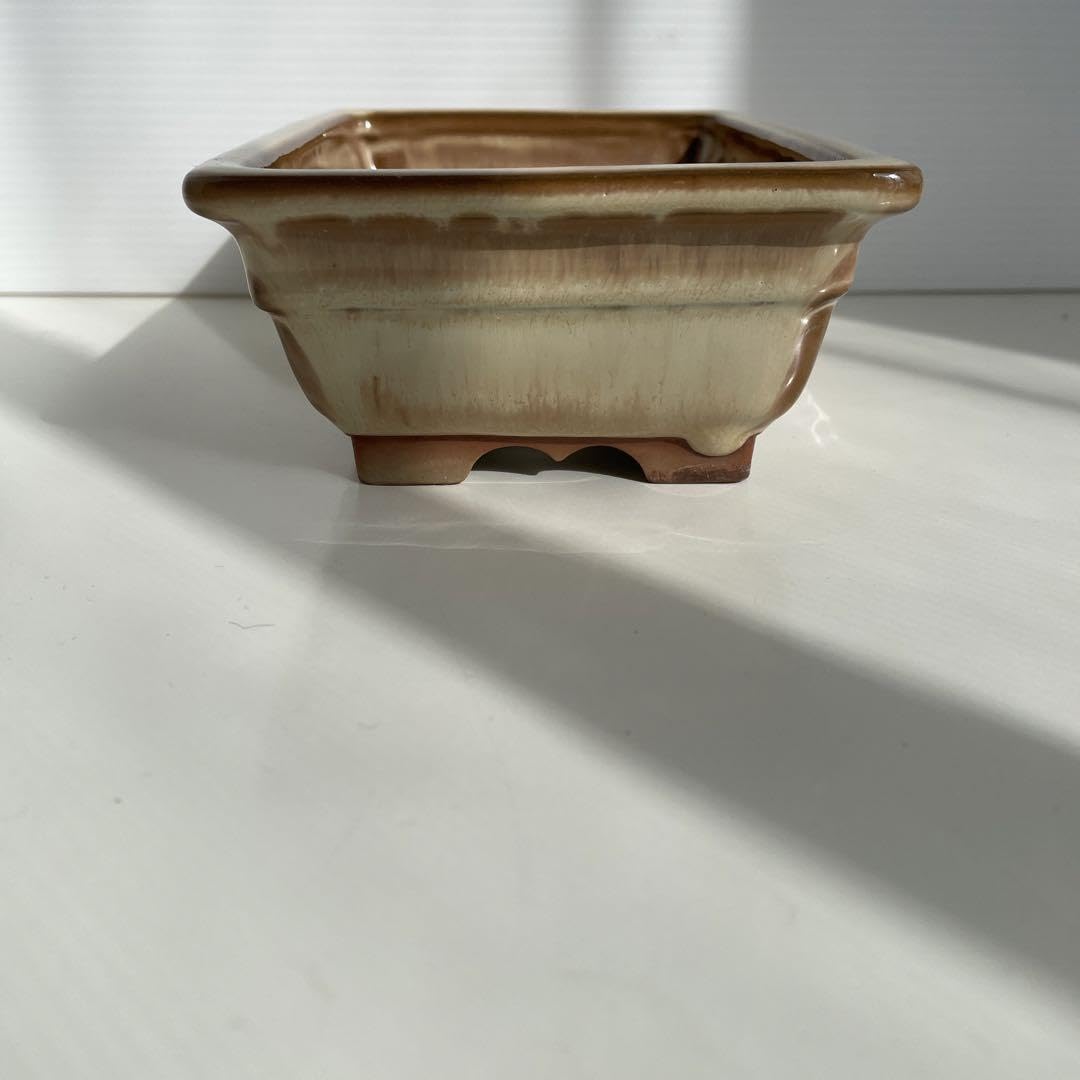 Amazon.co.jp: 盆栽鉢 落款 陶翠 : DIY・工具・ガーデン