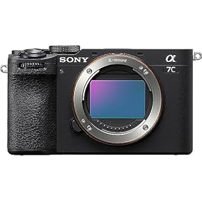 Amazon.co.jp: ミラーレス一眼 - デジタルカメラ: 家電＆カメラ