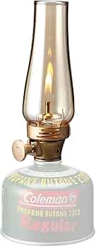 51hRAiLsJuS._AC_UF350,