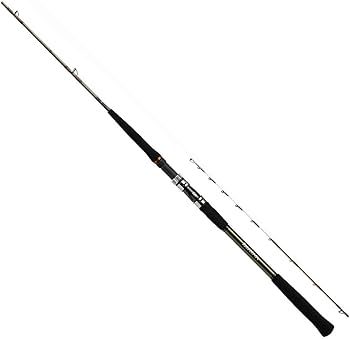 Amazon | ダイワ(DAIWA) 船竿 リーディング サソイ H-180 釣り竿