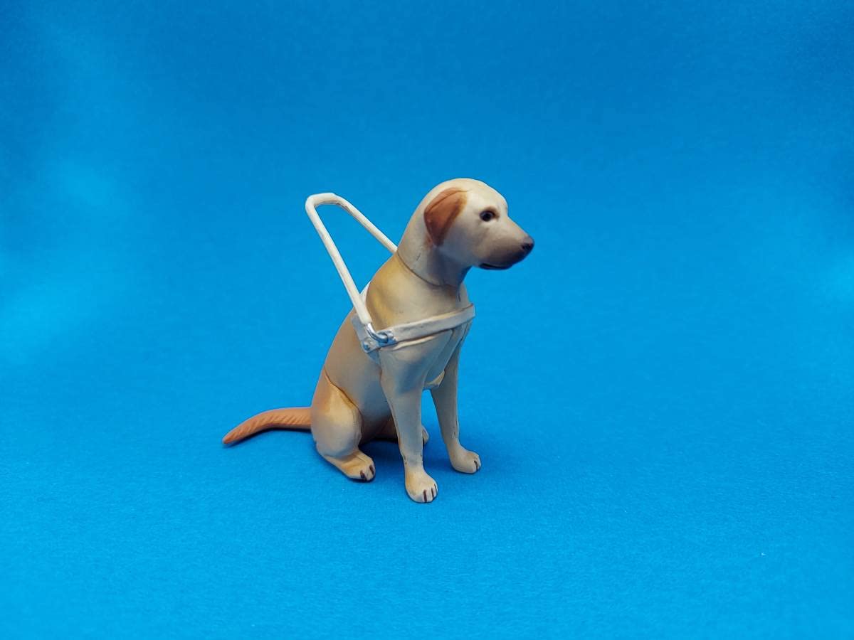 Amazon | シークレット【ラブラドール・レトリバー（盲導犬）茶