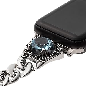 Amazon.co.jp: [新宿銀の蔵] Apple Watch Band 38mmケース用 アップル