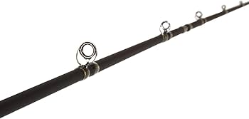 Amazon | AbuGarcia (アブガルシア) 黒船 ひとつテンヤマダイ KTMC