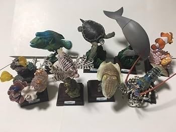Amazon.co.jp: ネイチャーテクニカラー 鳥羽水族館 フルコンプ 全8種類