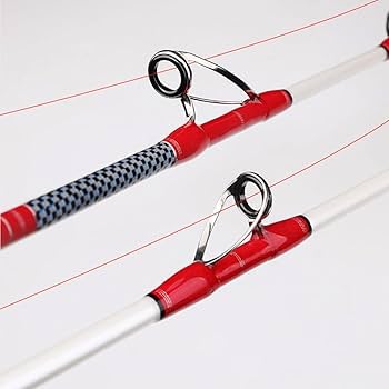 Amazon | 船竿 大物ロッド 深海 近海 80号船竿 1.55m スピニング