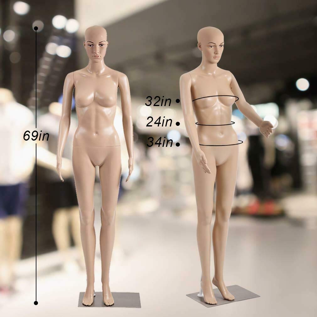 Amazon.co.jp: プラスチック素材 リアル 176cm 女性 フルボディ リアル
