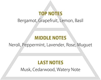 Amazon | primaniacs（プリマニアックス） 新テニスの王子様