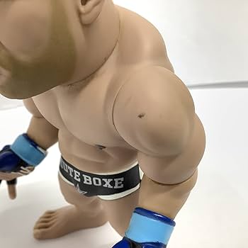 Amazon | ヴァンダレイ シウバ ソフビ フィギュア PRIDE 格闘家