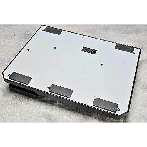 Amazon.co.jp: Roland / GR-20 Guitar Synthesize : Musical Instruments