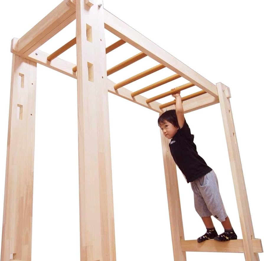 Amazon｜watsumi 日本製 遊びながらトレーニング うんてい 雲梯 室内