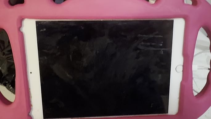 Amazon.com : Apple iPad Mini 4, 16GB, Gold - WiFi (Renewed