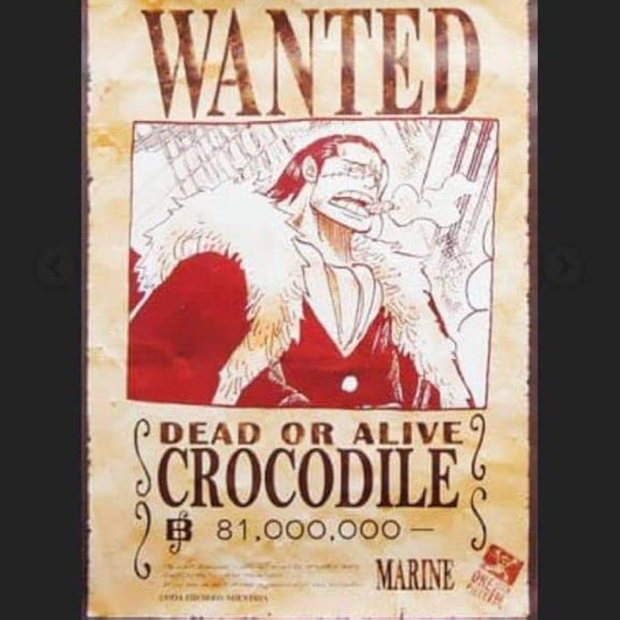 Amazon.co.jp: ワンピース ONE PIECE 手配書ポスター OP展