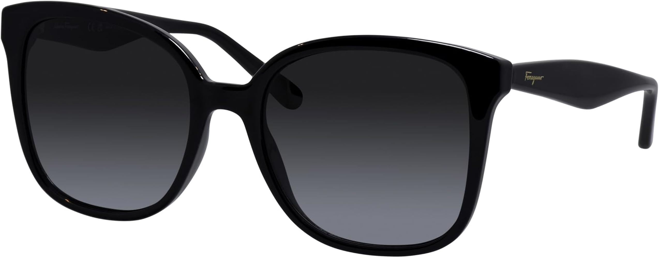 Amazon.com: Salvatore Ferragamo SF 1072S 001 Black Plastic Square