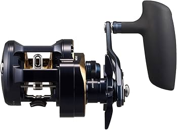 Amazon | ダイワ(DAIWA) ジギングベイトリール SALTIGA(ソルティガ