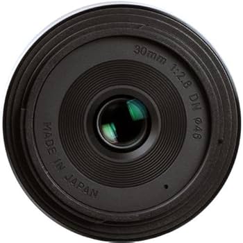 Amazon.com : Sigma 30mm F2.8 EX DN Art (Black) for Sony SE