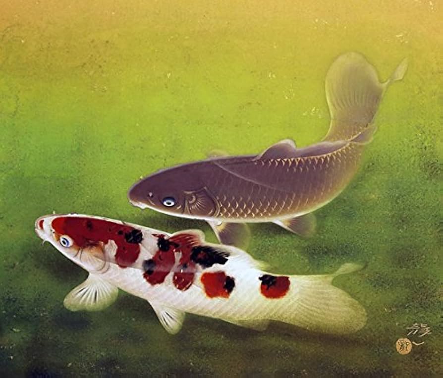 軸 日本画 太田龍一「松鯉」共箱 軸 日本画 太田龍一「松鯉」共箱