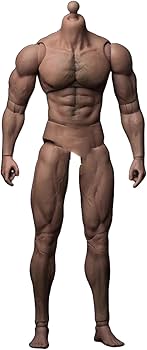 Amazon | 1/6 フィギュア 用筋 肉タイプ 男性素体 ボディ アクセサリー