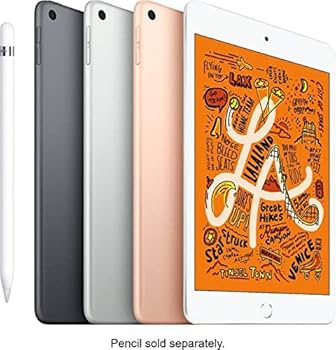 Amazon.com : Apple iPad mini 5th Generation, Wi-Fi, 256GB - Gold