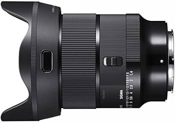 Amazon.com : Sigma 24mm F1.4 Art DG DN Lens for L Mount : Electronics