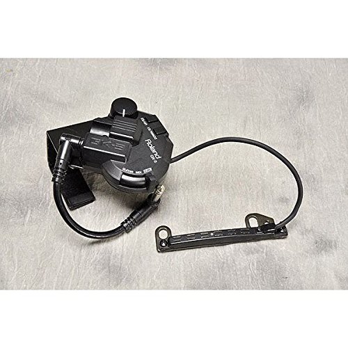 Amazon | Roland ローランド / GR-20 Guitar Synthesize | ギター