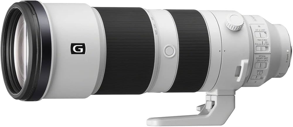 Amazon.co.jp: SONY(ソニー) 【セット買い】ソニー デジタル一眼カメラ