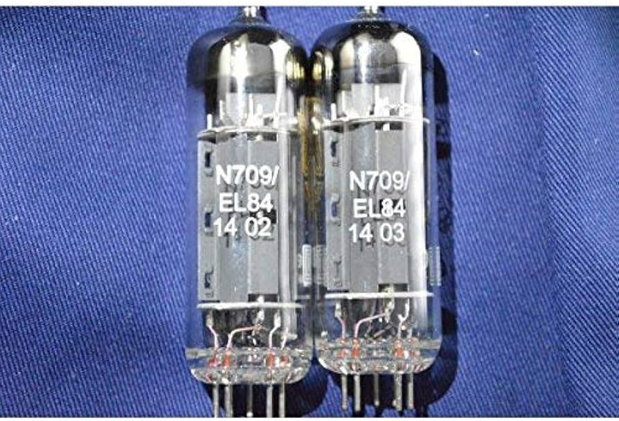 Amazon | GENALEX GOLD LION N709 / EL84 マッチド2本組 [並行輸入品