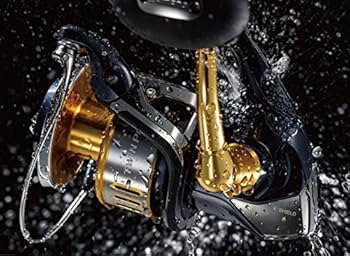Shimano 15 neue Twin Power SW 6000HG [Japan Import] : Amazon.de