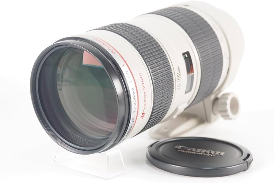 Amazon.com : Canon EF 70-200mm f/2.8L USM Telepho - International