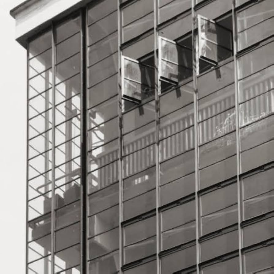 Amazon.co.jp: ポスター バウハウス foto licia 1926年 額装品 アルミ