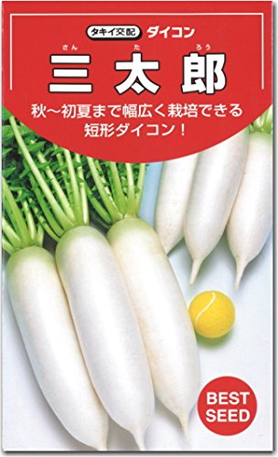 Amazon.co.jp: だいこん 種子 三太郎 大根 (7ml) : DIY・工具・ガーデン