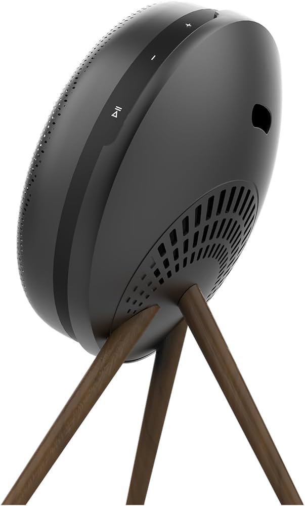 Amazon.com: Stand for Bang & Olufsen Beoplay A1 2nd Gen/Beosound
