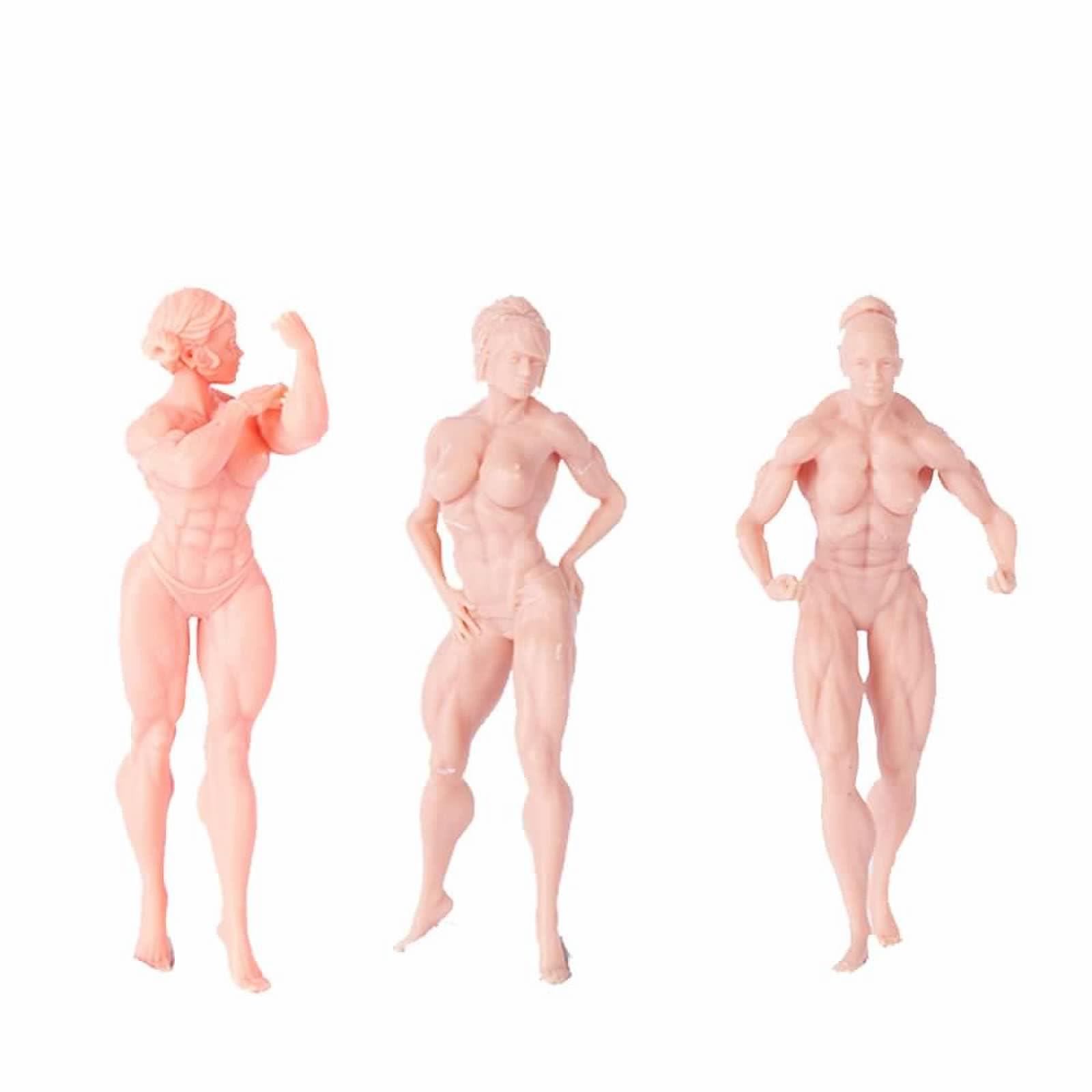 Amazon.co.jp: ZEDACAKAI (3個) 1/64 フィギュアフィットネス女性