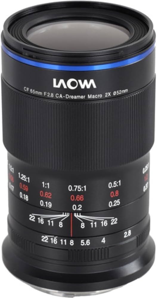 Amazon.com : Laowa 65mm f/2.8 2X Ultra Macro APO Lens for Sony E