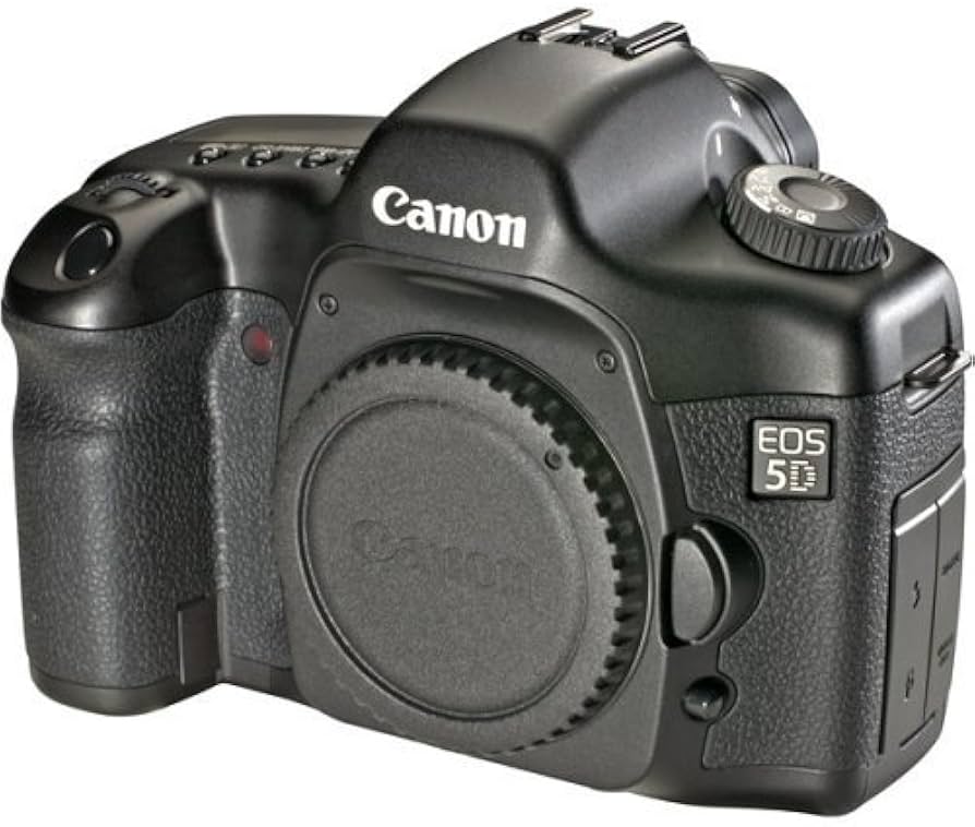 Amazon.com : Canon EOS 5D 12.8 MP Digital SLR Camera (Body Only