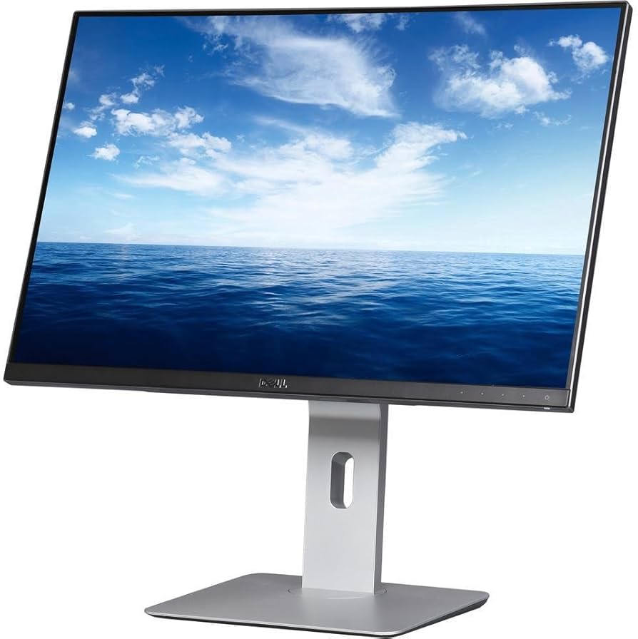 Amazon.com: Dell UltraSharp U2415 24.1